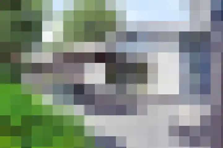 De Achthoek 69 Scharendijke thumbnail 8