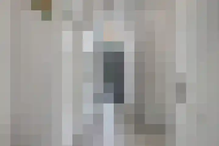 De Achthoek 69 Scharendijke thumbnail 9