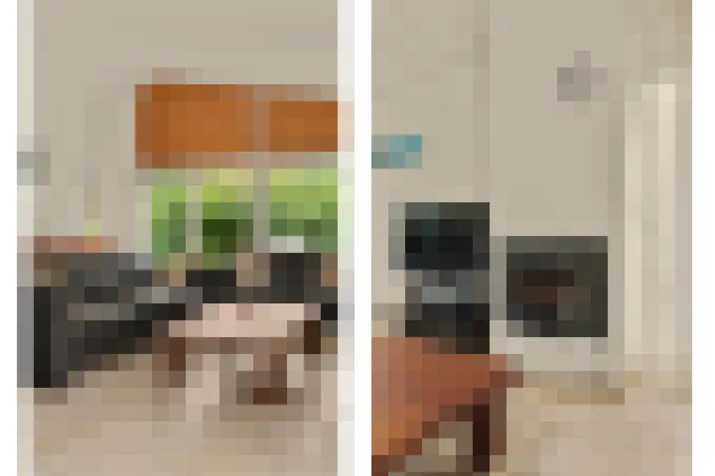 De Achthoek 79 Scharendijke thumbnail 13