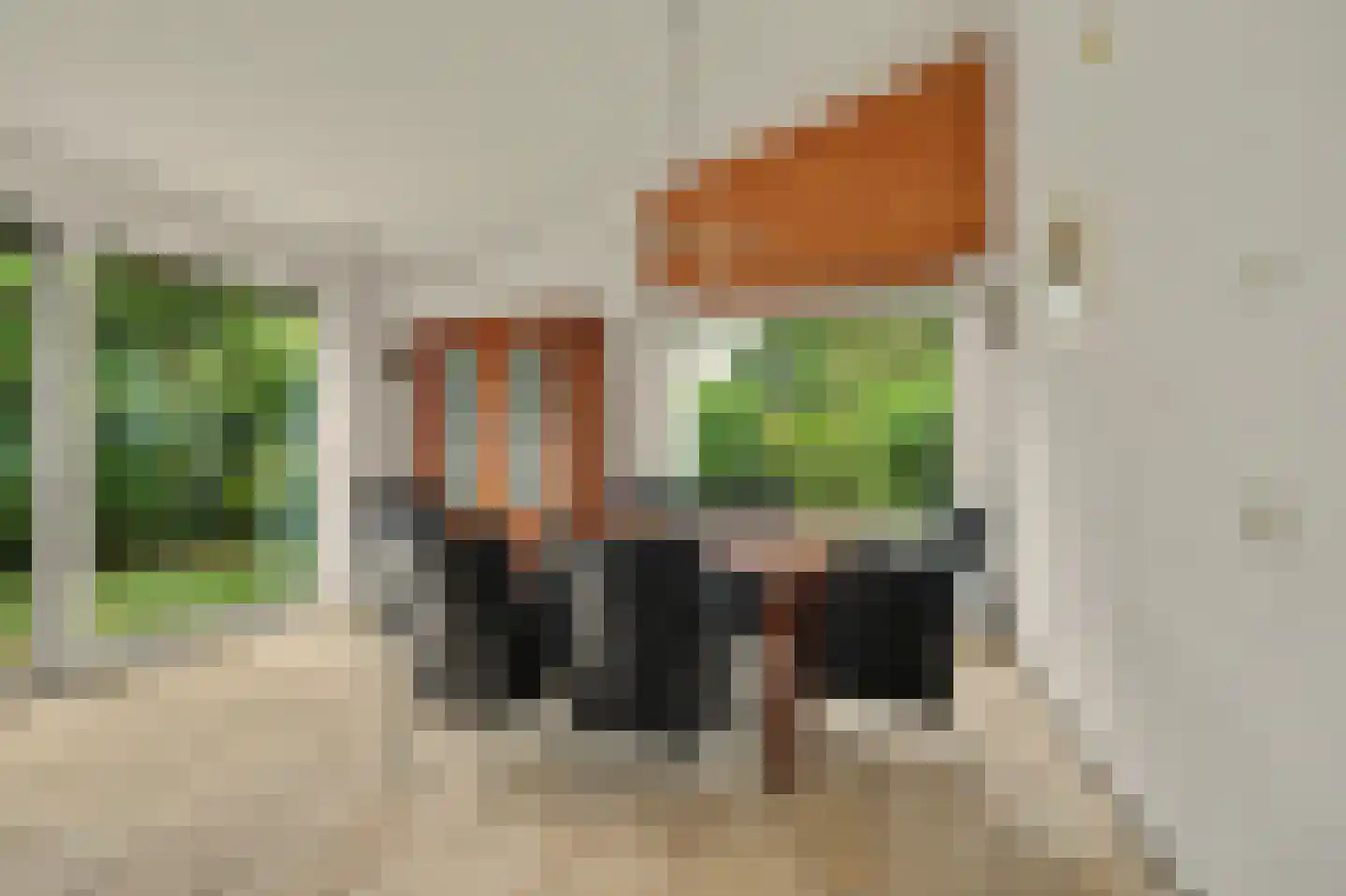 De Achthoek 79 Scharendijke thumbnail 14