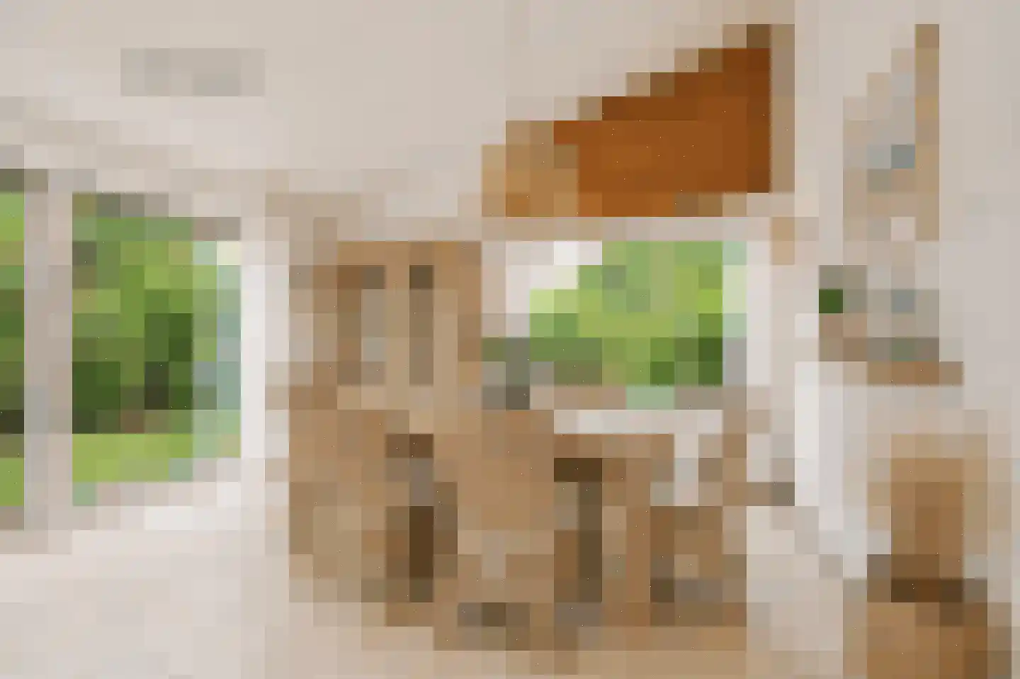 De Achthoek 79 Scharendijke thumbnail 19