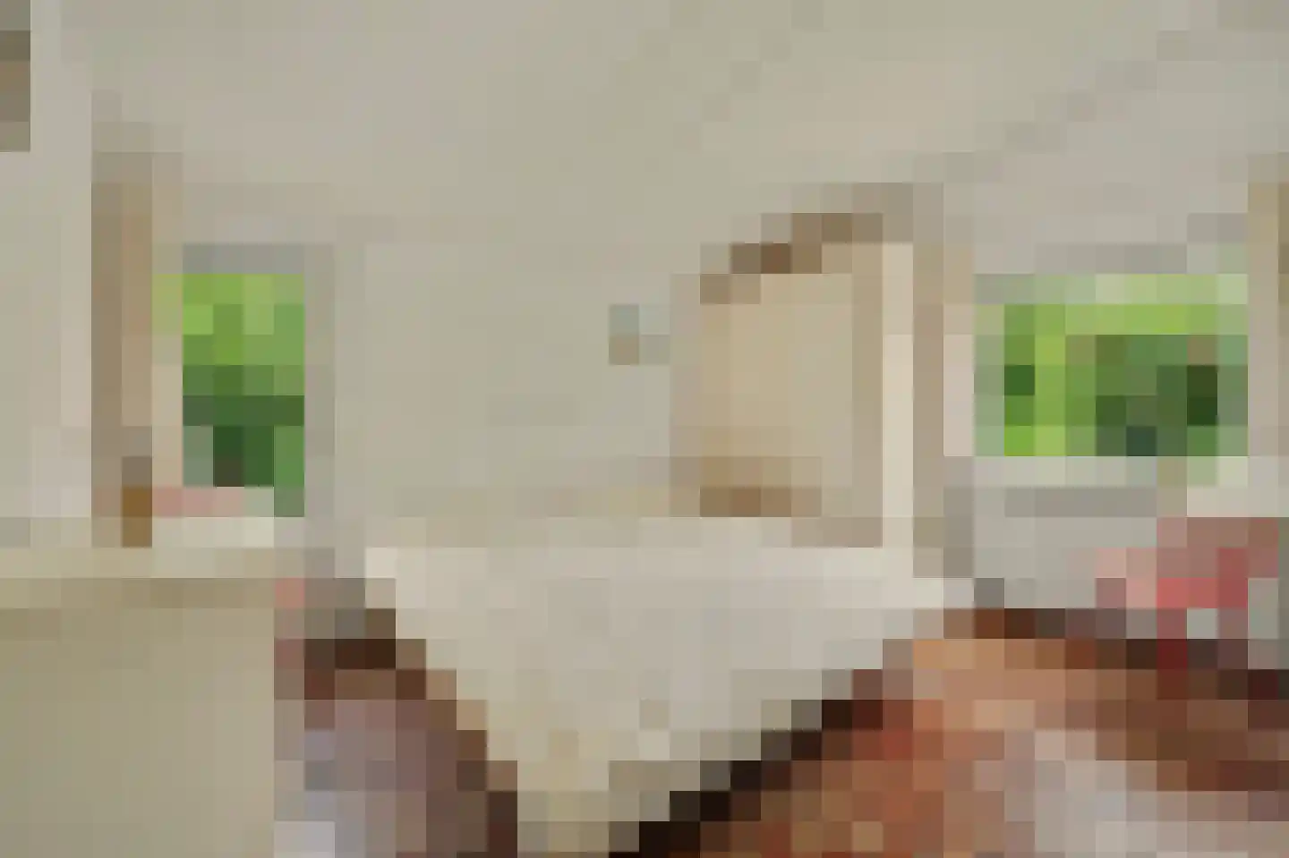 De Achthoek 79 Scharendijke thumbnail 21