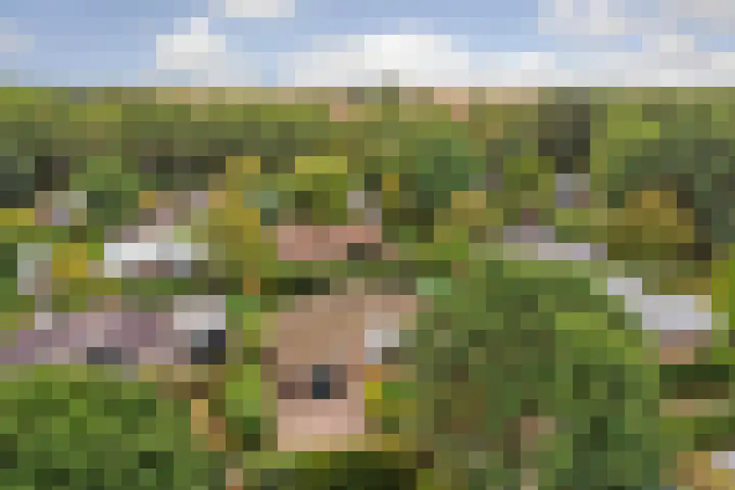 De Achthoek 79 Scharendijke thumbnail 28