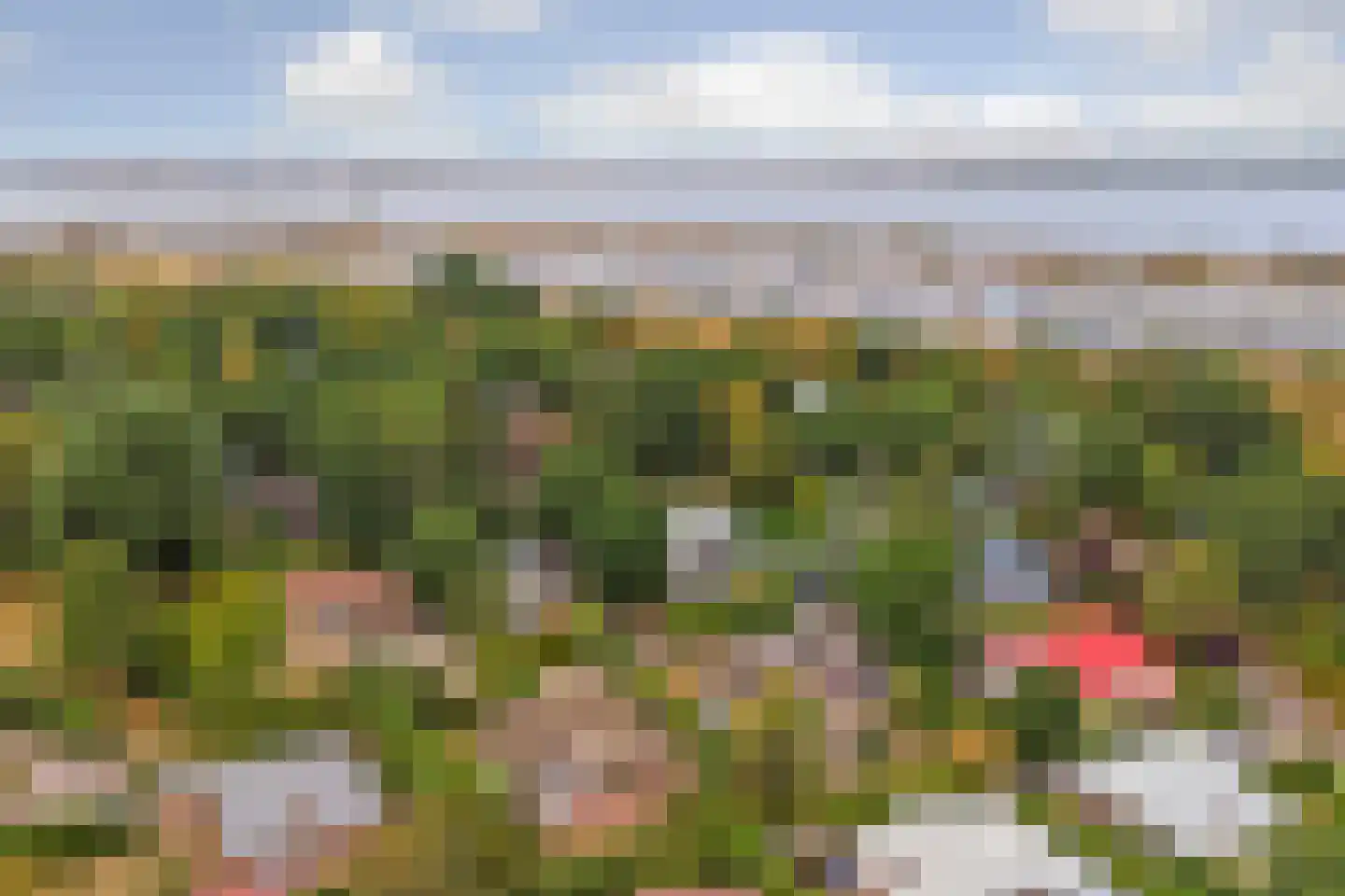 De Achthoek 79 Scharendijke thumbnail 31