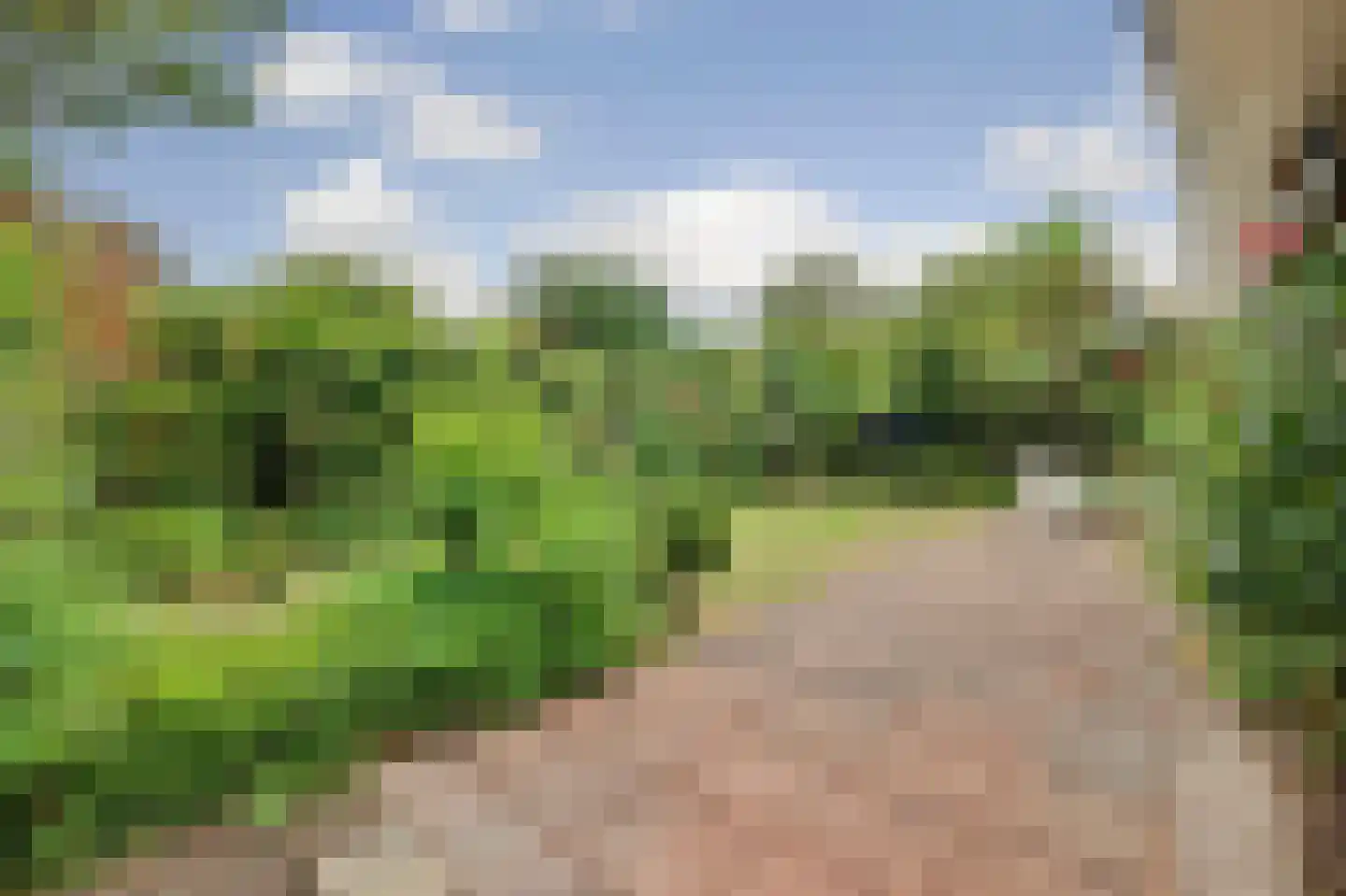 De Achthoek 79 Scharendijke thumbnail 6