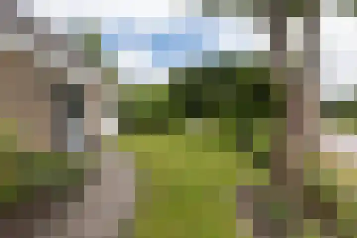 De Achtkant 1 Buitenpost thumbnail 10