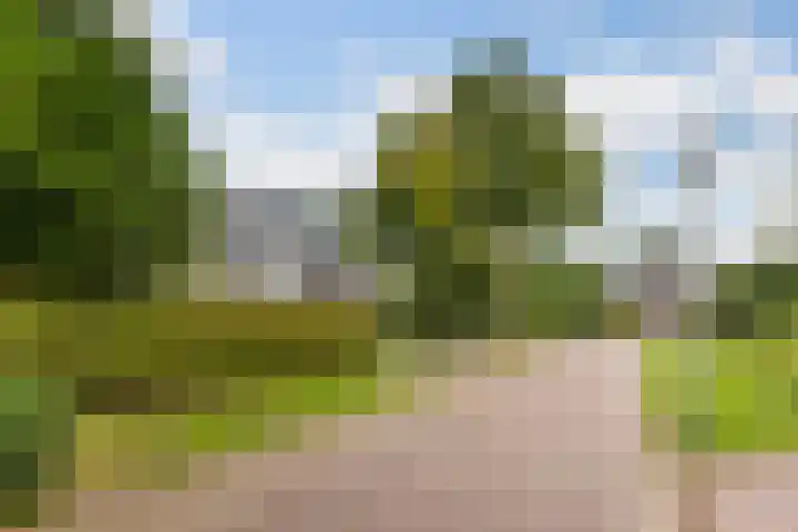 De Achtkant 1 Buitenpost thumbnail 11