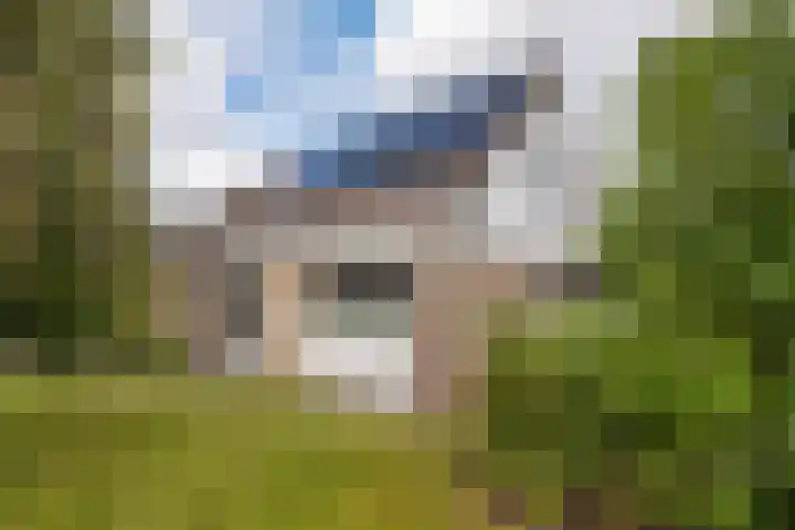De Achtkant 1 Buitenpost thumbnail 12