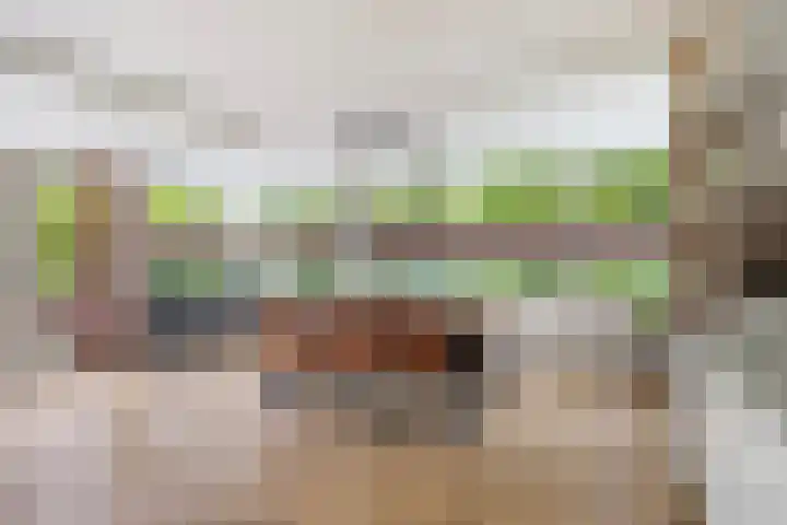De Achtkant 1 Buitenpost thumbnail 21