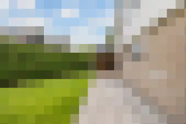 De Achtkant 1 Buitenpost thumbnail 28