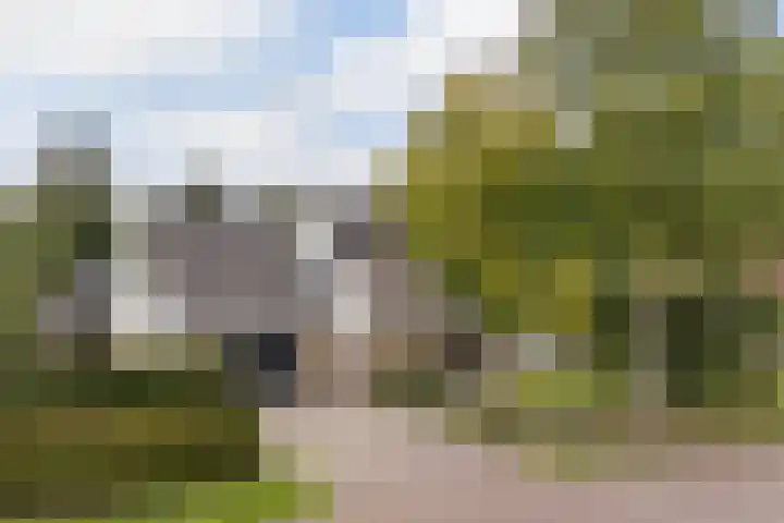 De Achtkant 1 Buitenpost foto 3