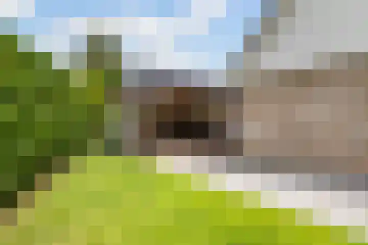 De Achtkant 1 Buitenpost thumbnail 30