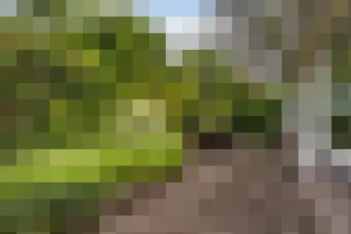De Achtkant 1 Buitenpost thumbnail 32
