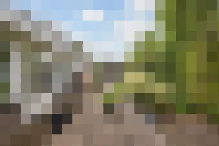 De Achtkant 1 Buitenpost thumbnail 33