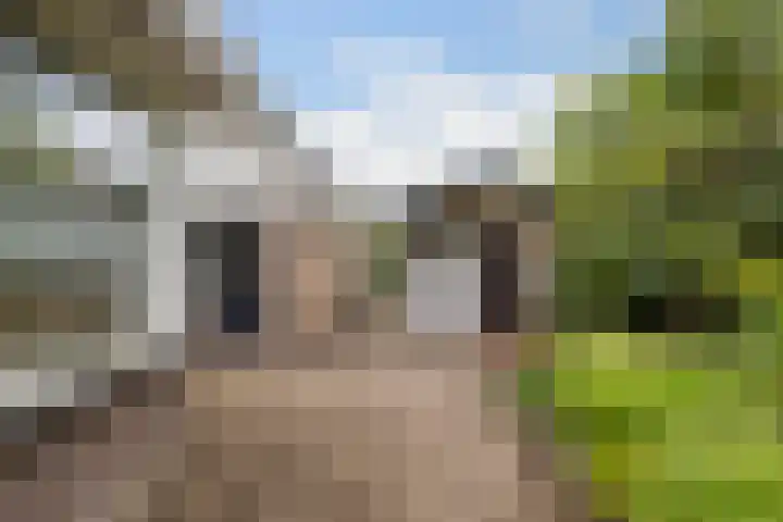 De Achtkant 1 Buitenpost thumbnail 34