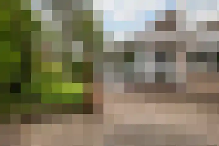 De Achtkant 1 Buitenpost thumbnail 35