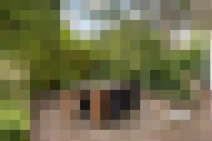 De Achtkant 1 Buitenpost thumbnail 36