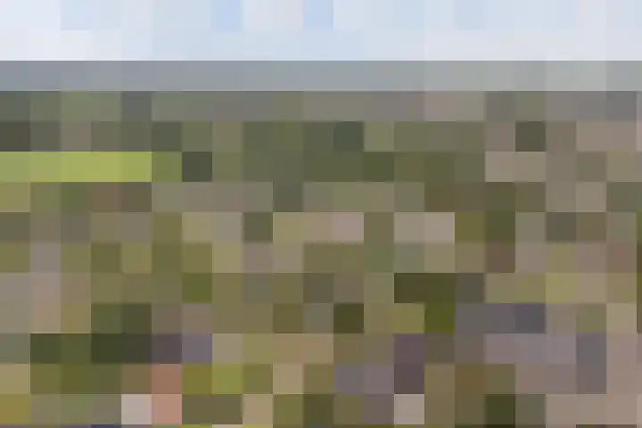 De Achtkant 1 Buitenpost thumbnail 4