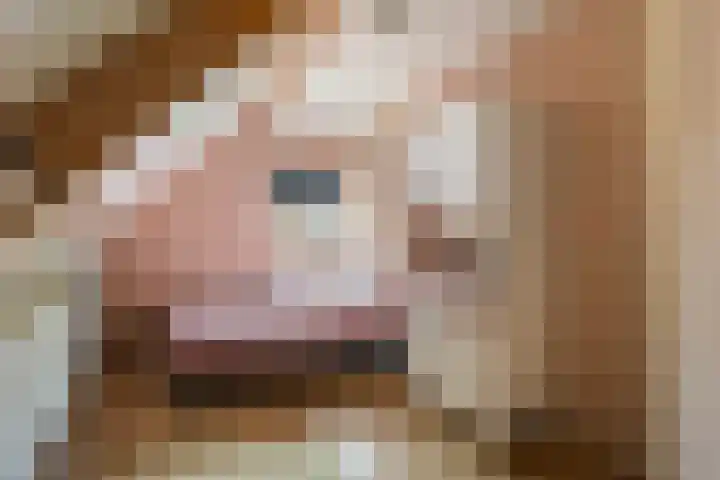 De Achtkant 1 Buitenpost thumbnail 43