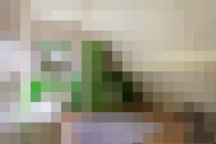 De Achtkant 1 Buitenpost thumbnail 47