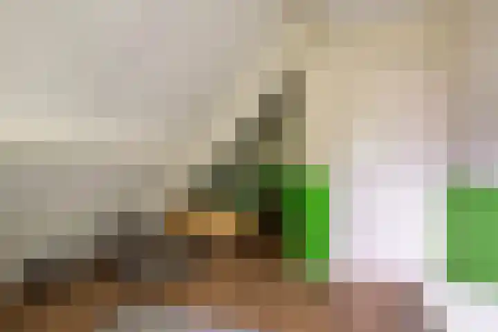 De Achtkant 1 Buitenpost thumbnail 48