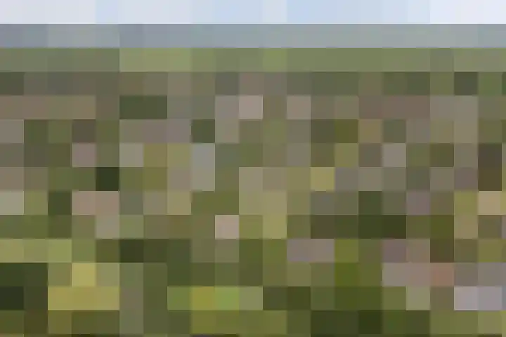 De Achtkant 1 Buitenpost thumbnail 5