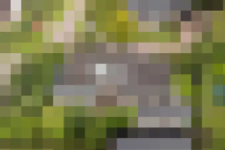 De Achtkant 1 Buitenpost thumbnail 7