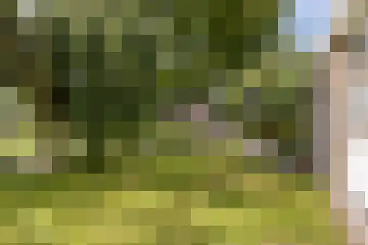 De Achtkant 1 Buitenpost thumbnail 8