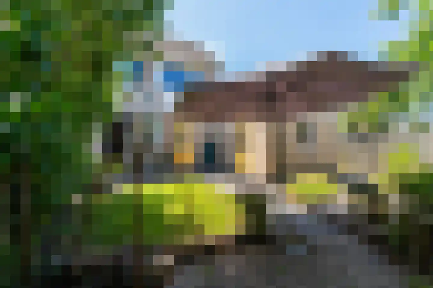 De Aek 5 Hallum thumbnail 36