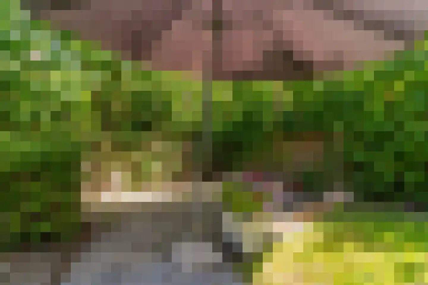 De Aek 5 Hallum thumbnail 37