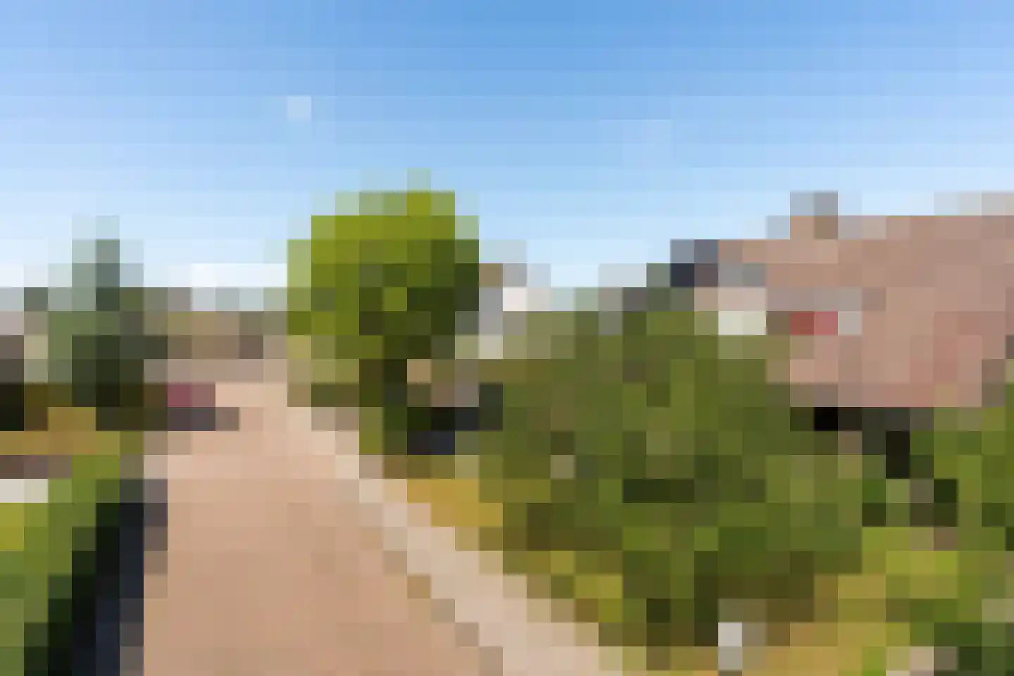 De Aek 5 Hallum thumbnail 47