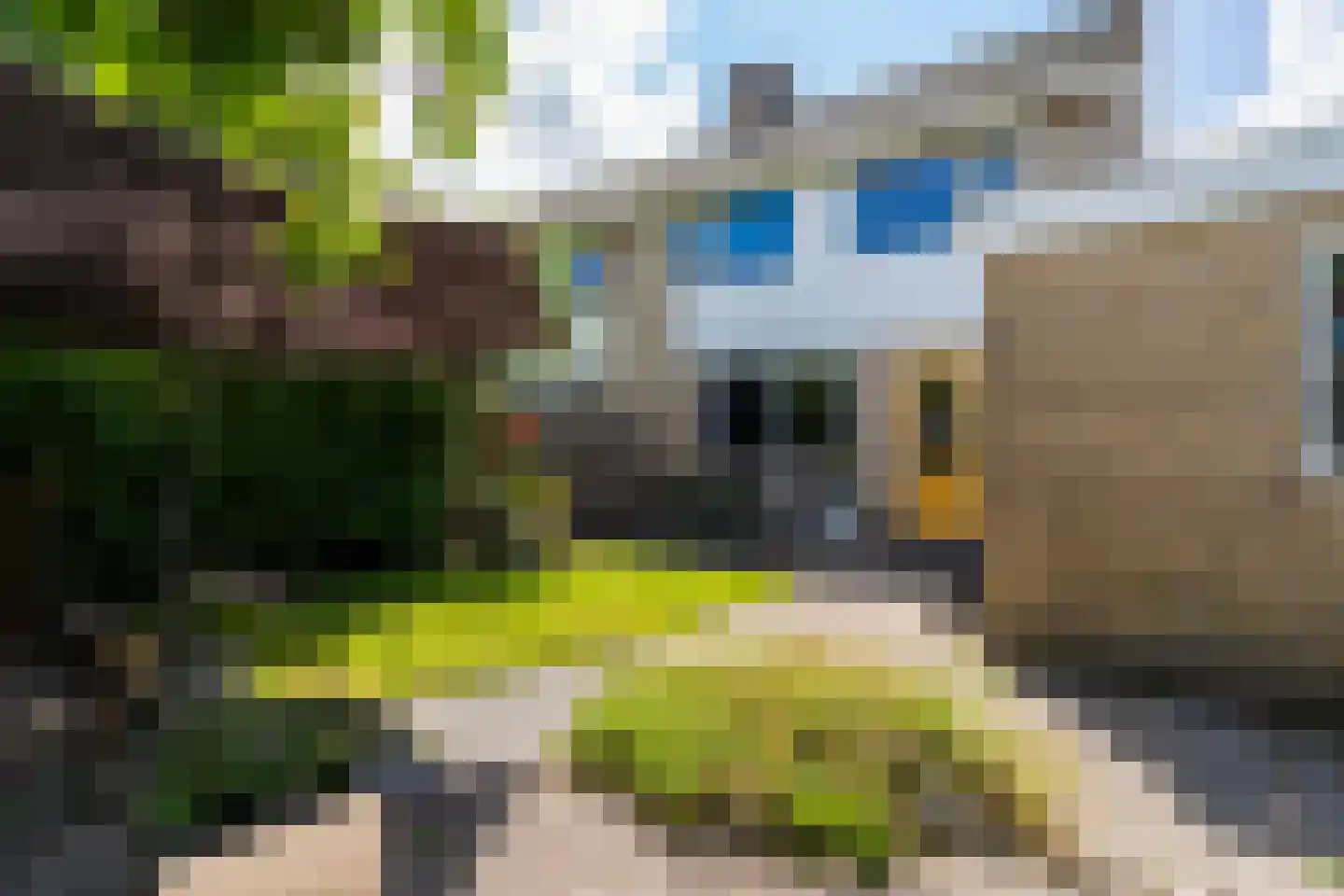 De Aek 5 Hallum thumbnail 5