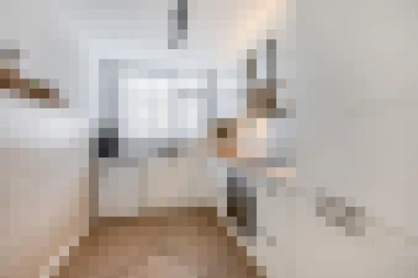 de Akker 103 Waddinxveen thumbnail 16