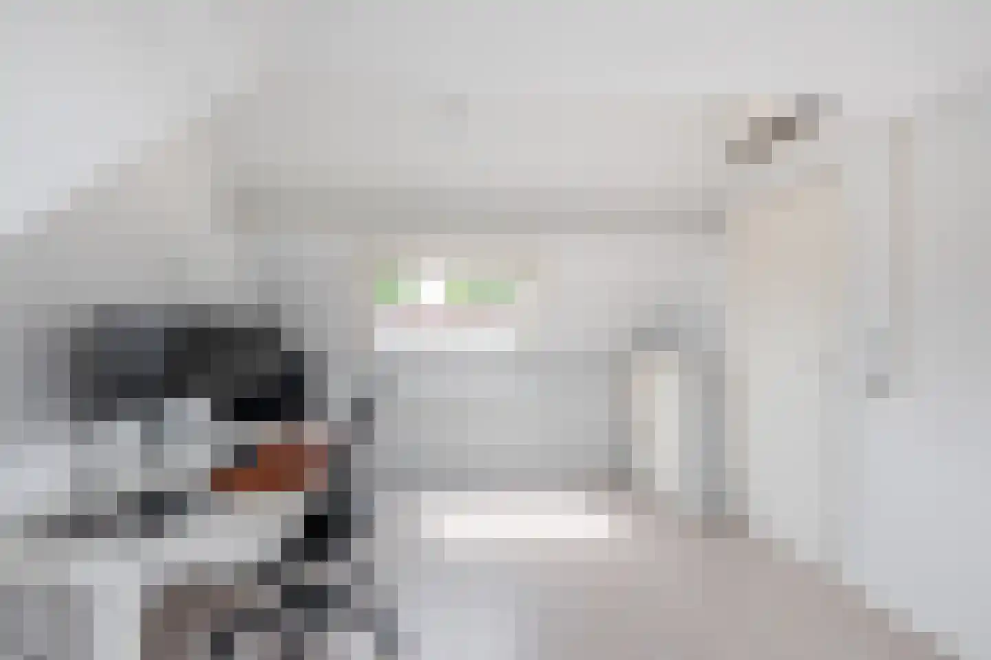de Akker 103 Waddinxveen thumbnail 28