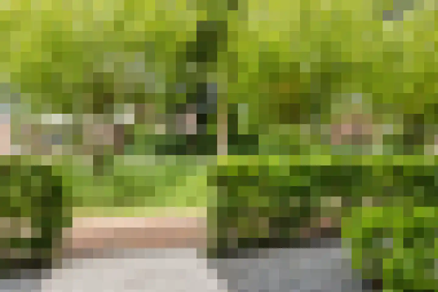 De Akker 2 Scherpenzeel thumbnail 46