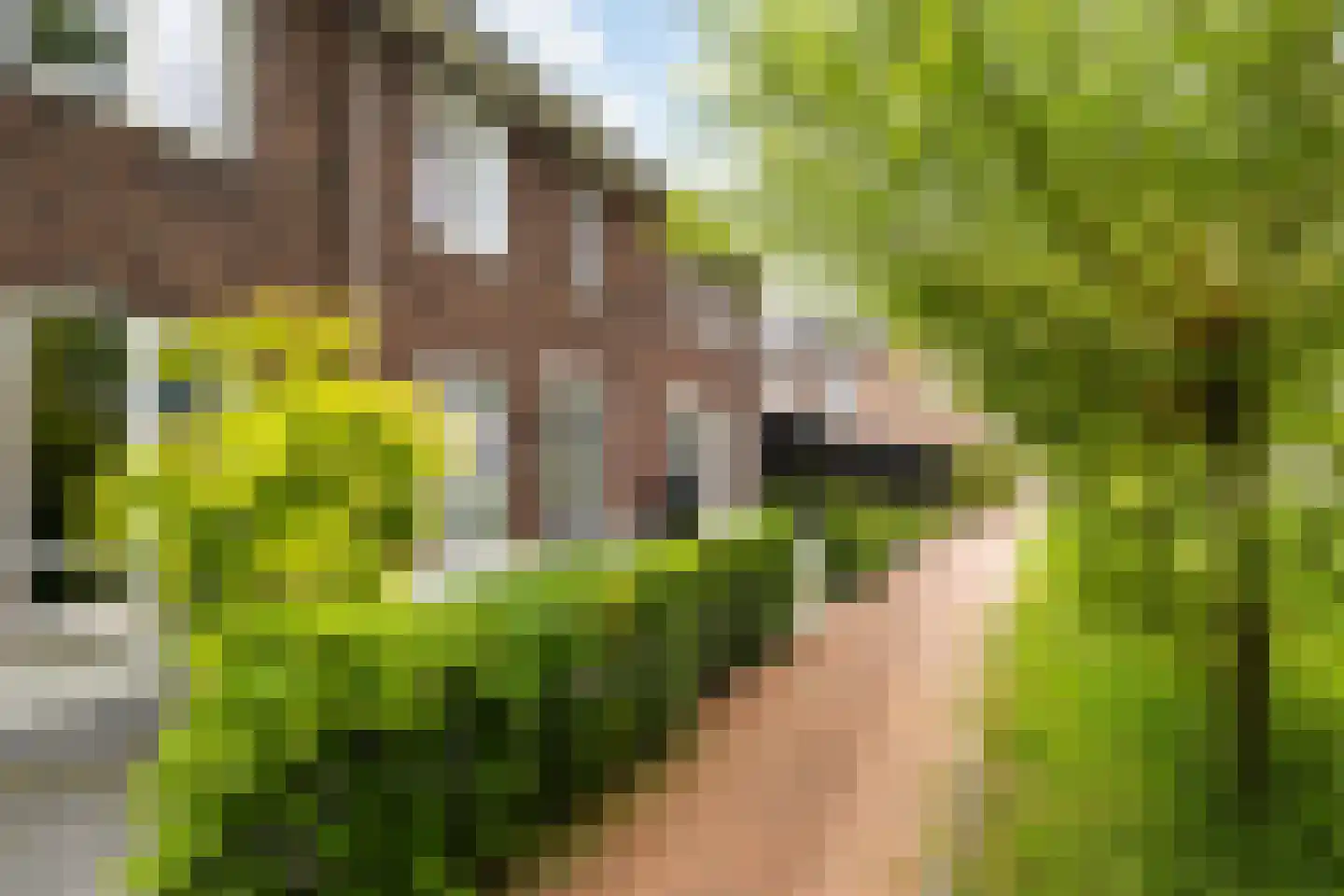 De Akker 2 Scherpenzeel thumbnail 47