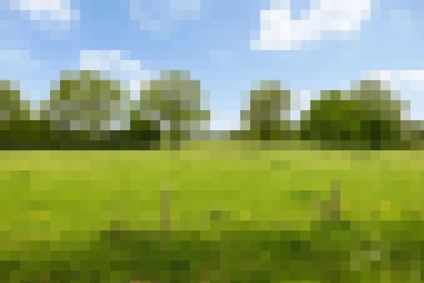 De Akker 2 Scherpenzeel thumbnail 48