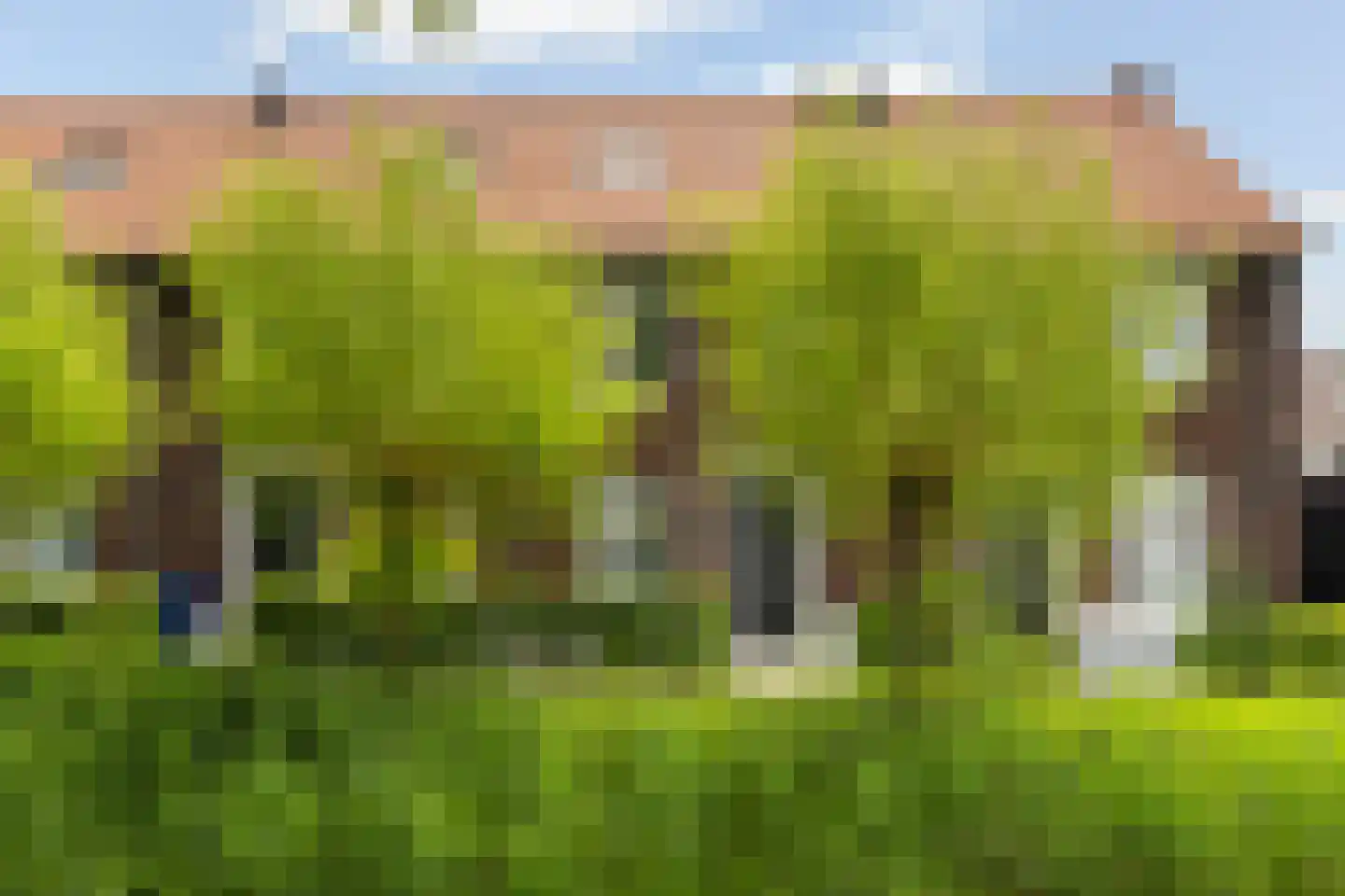 De Akker 2 Scherpenzeel thumbnail 7