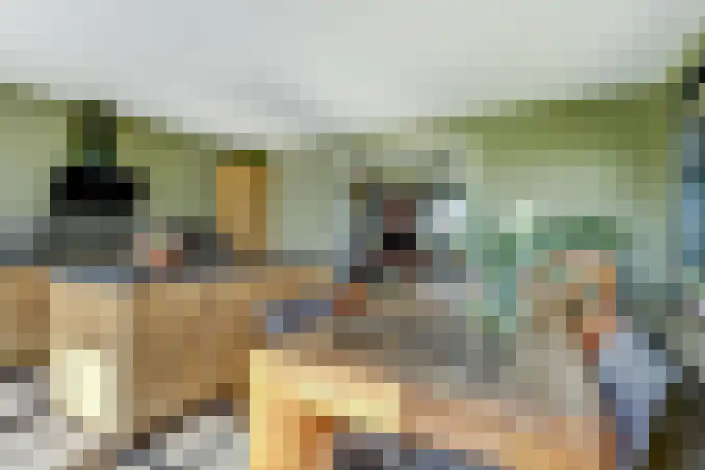 De Akker 29 Oudesluis thumbnail 17