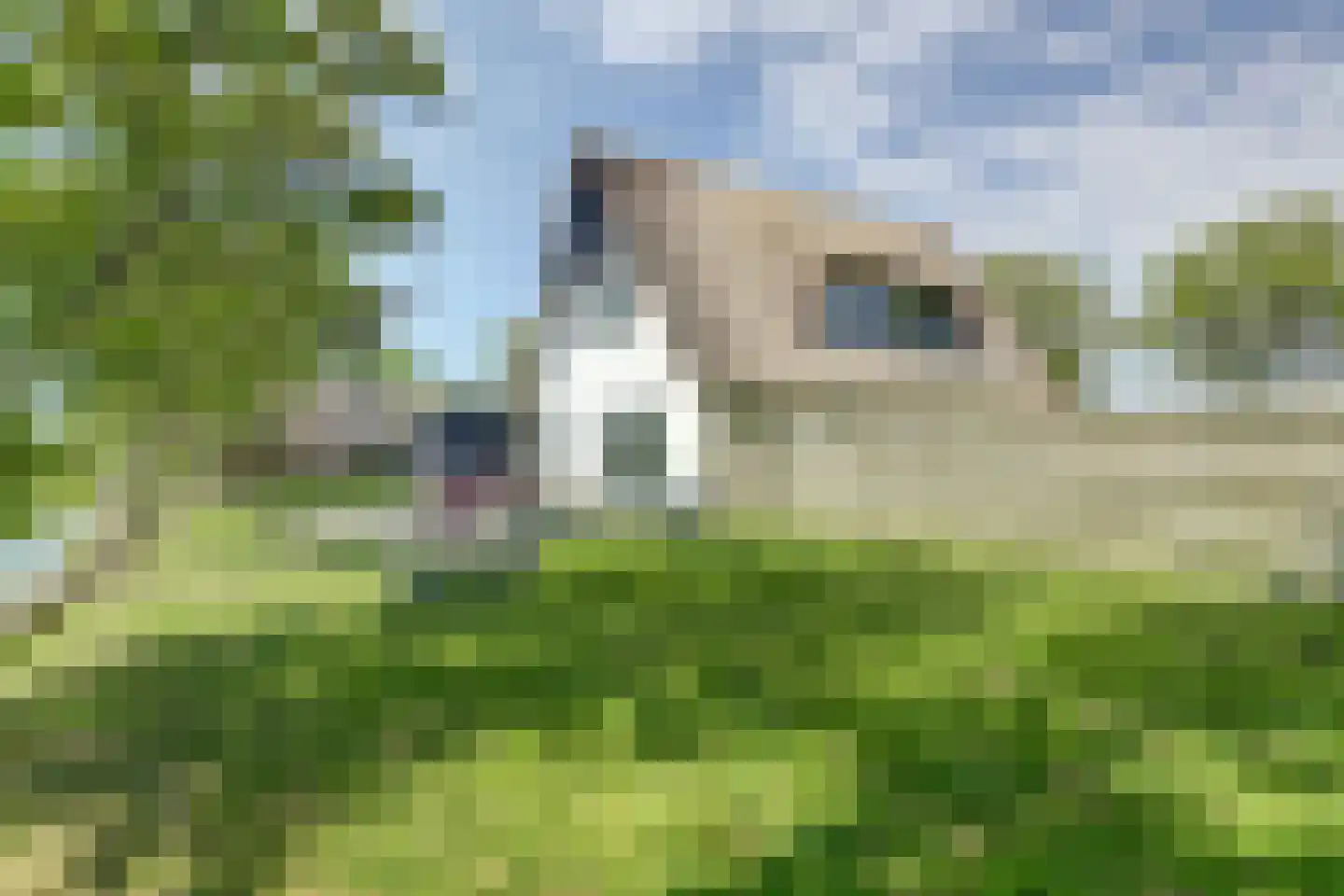 De Akker 29 Oudesluis thumbnail 53