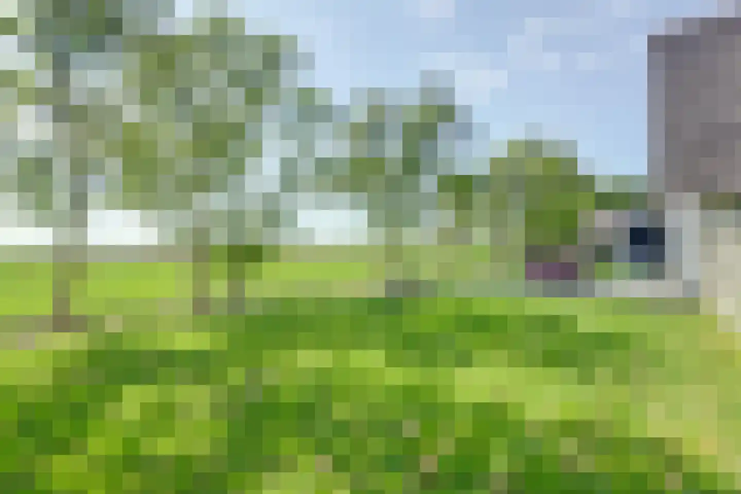 De Akker 29 Oudesluis thumbnail 54