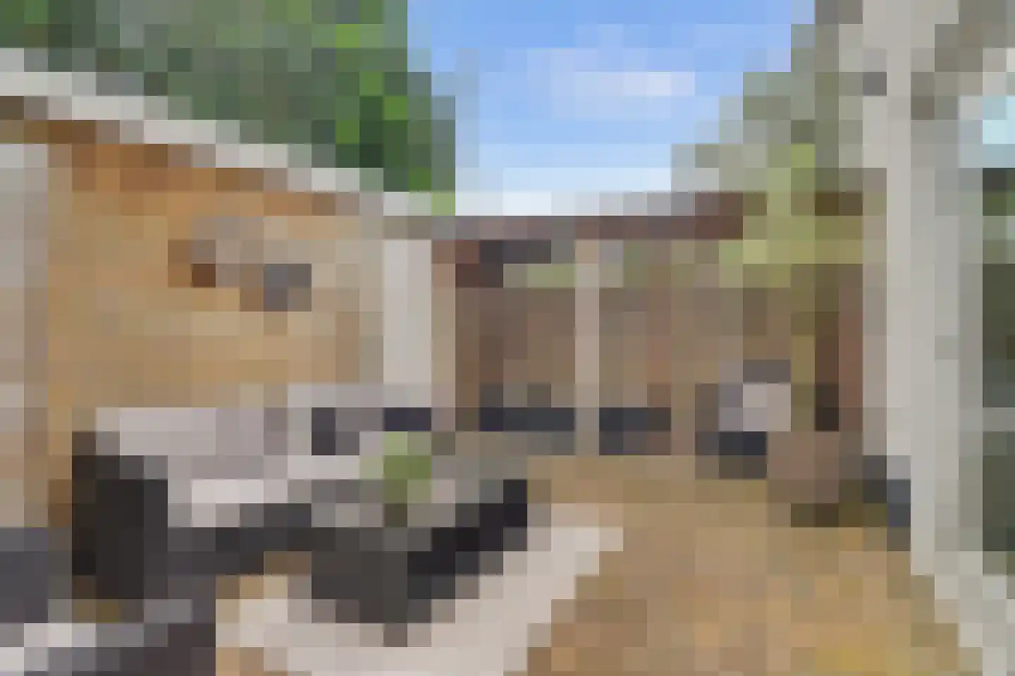 De Akker 34 F Vlijmen thumbnail 7