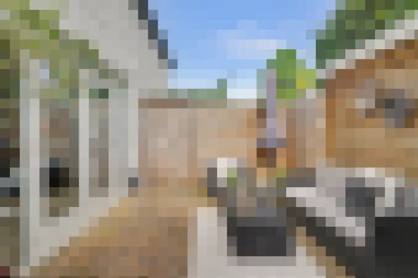 De Akker 34 F Vlijmen thumbnail 8