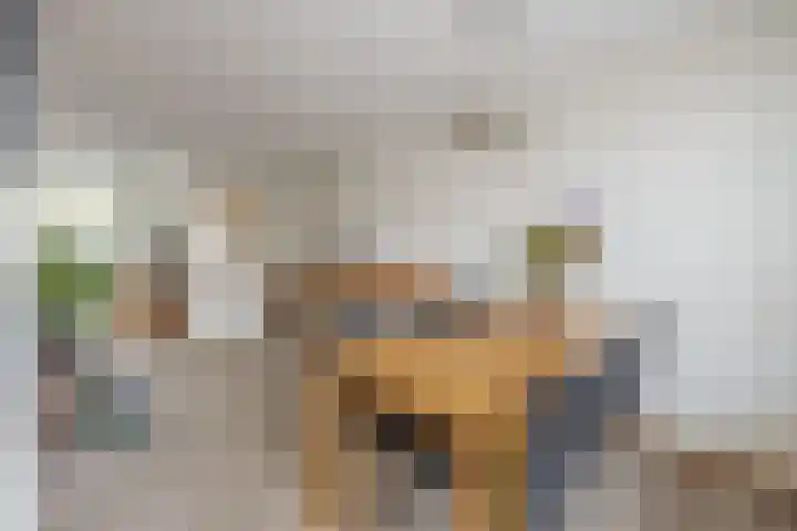 de Akker 45 Waddinxveen thumbnail 14