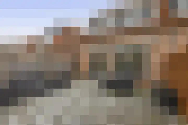 de Akker 45 Waddinxveen thumbnail 20