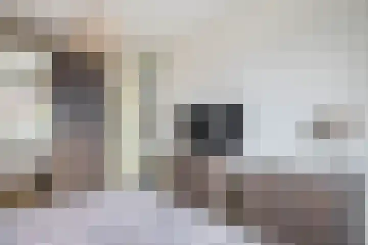 de Akker 45 Waddinxveen thumbnail 30
