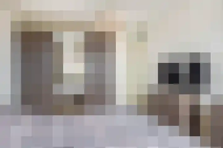 de Akker 45 Waddinxveen thumbnail 35
