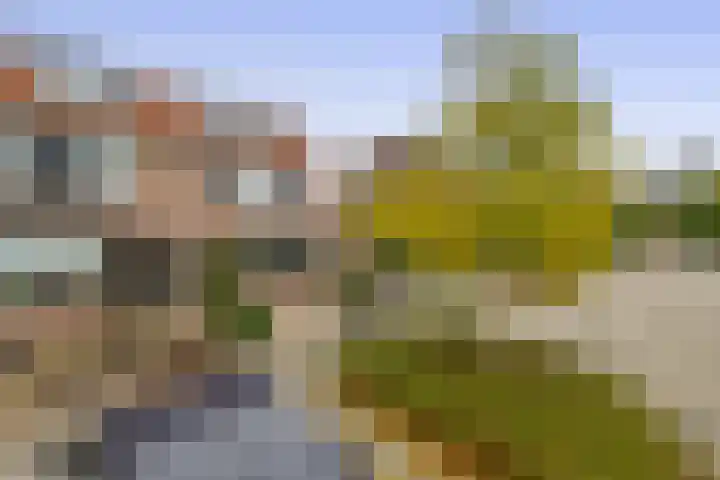 de Akker 45 Waddinxveen thumbnail 7