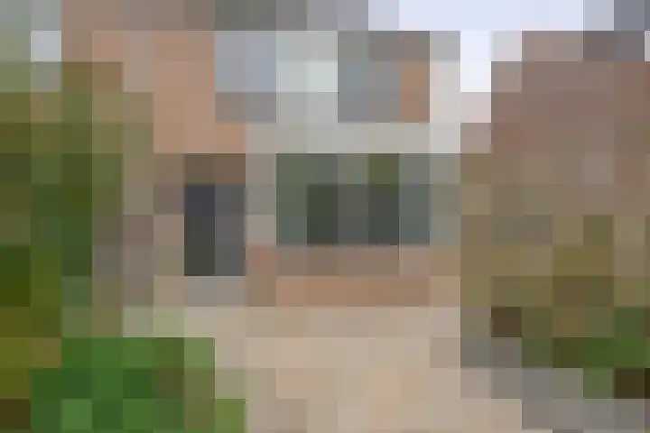 de Akker 45 Waddinxveen thumbnail 8