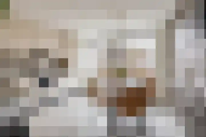 de Akker 48 Waddinxveen thumbnail 10